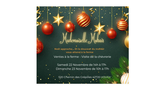 Portes ouvertes chez Mademoiselle Mohair