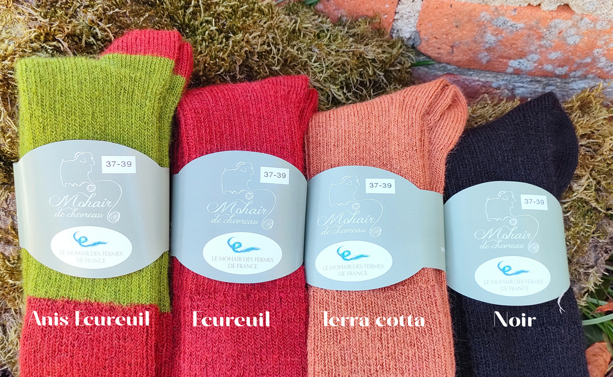 Chaussettes courtes